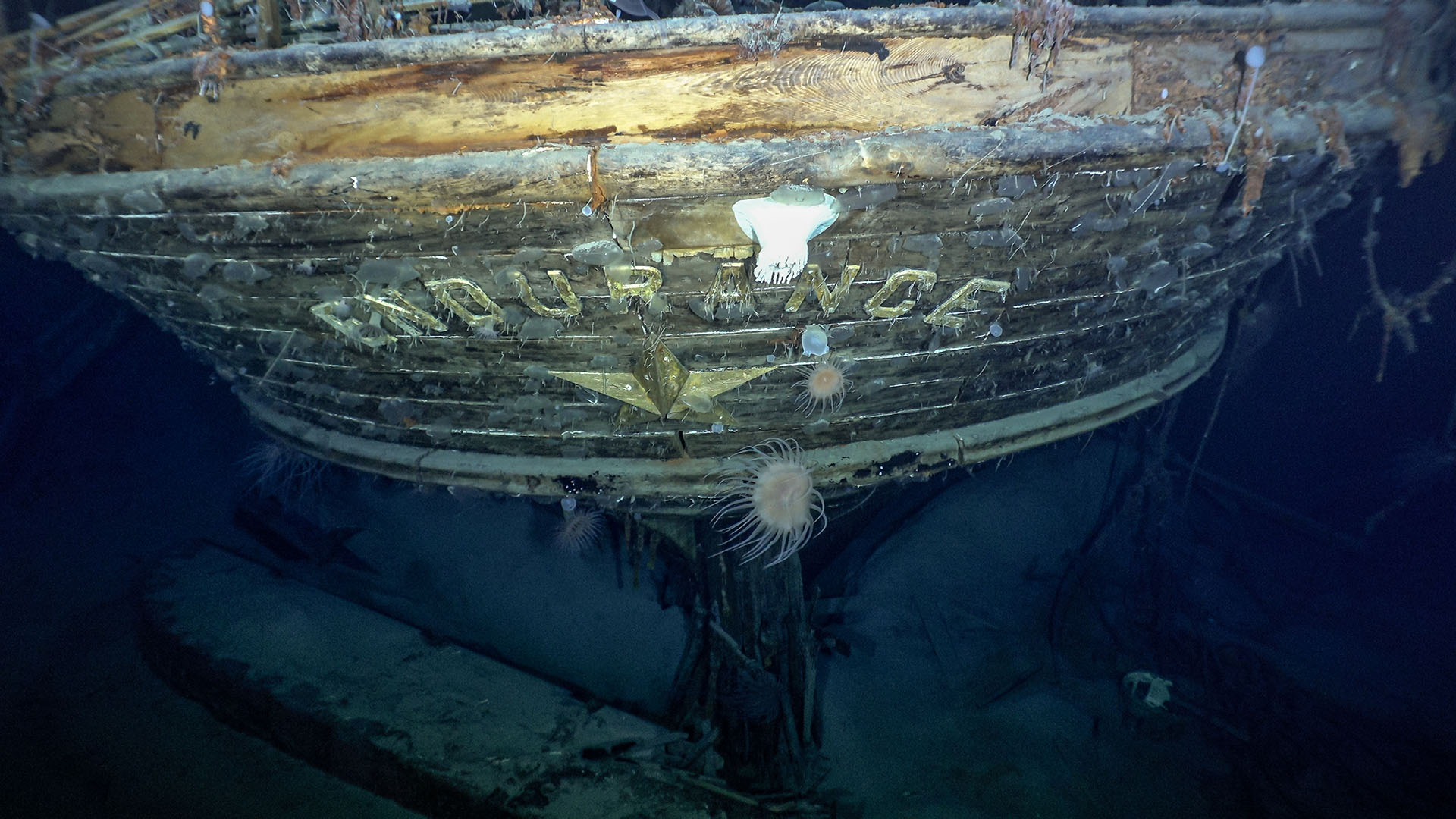 The Oceanographers Who Discovered the Titanic Have Released  Never-Before-Seen Footage of the Shipwreck Filmed by Underwater Robots