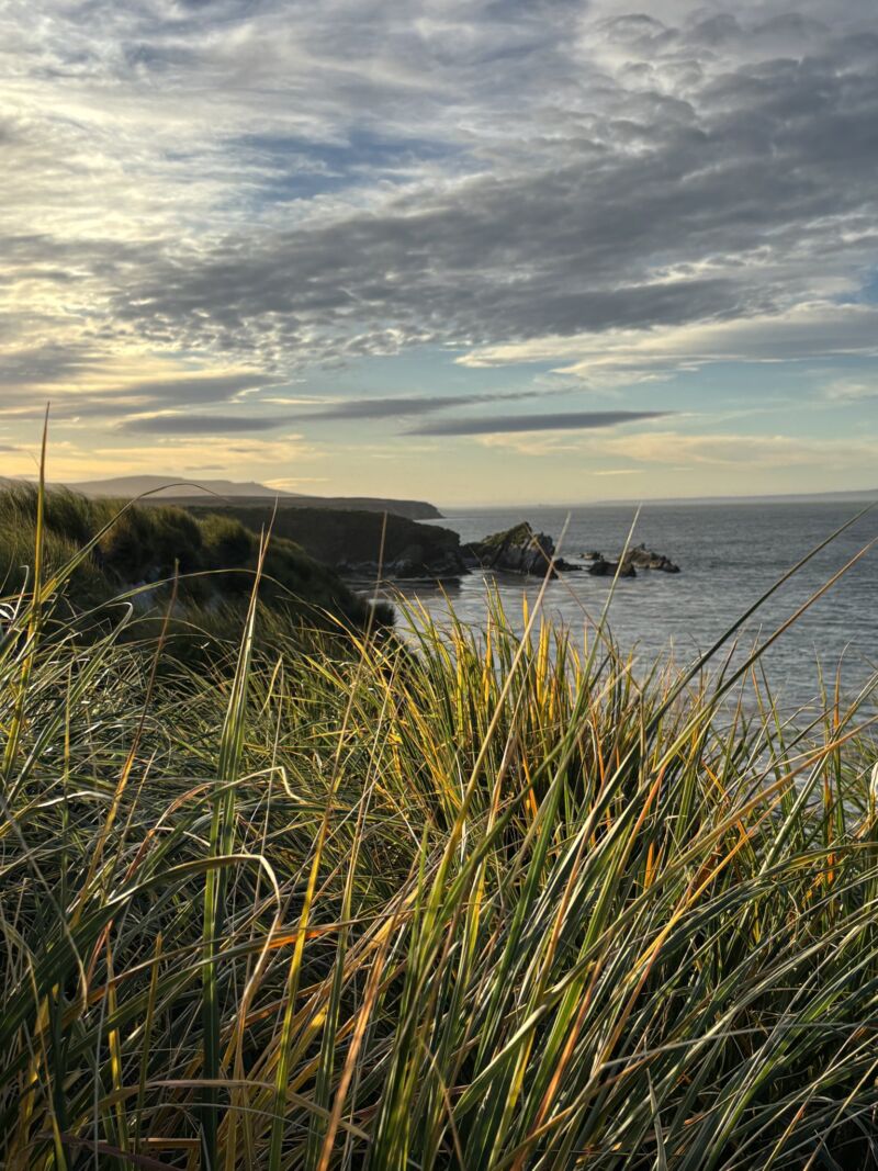 Image for the Tweet beginning: Check out our COOs blog