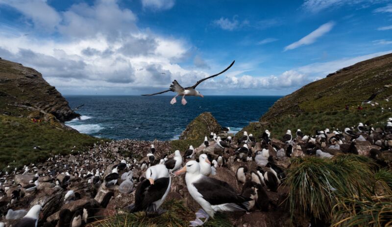 Image for the Tweet beginning: On #EarthDay, we celebrate the
