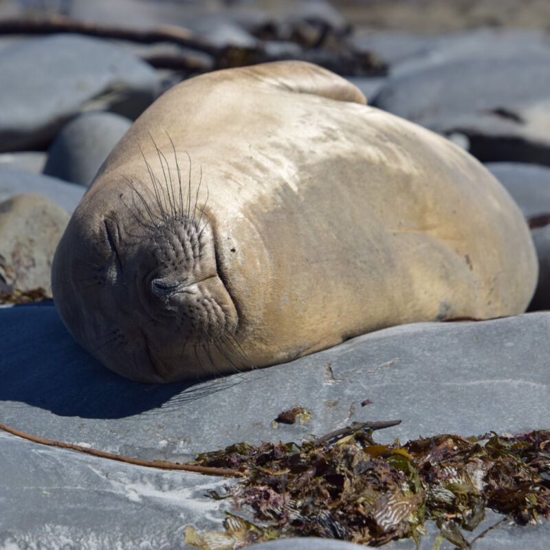 Image for the Tweet beginning: On #EarthDay, we celebrate the